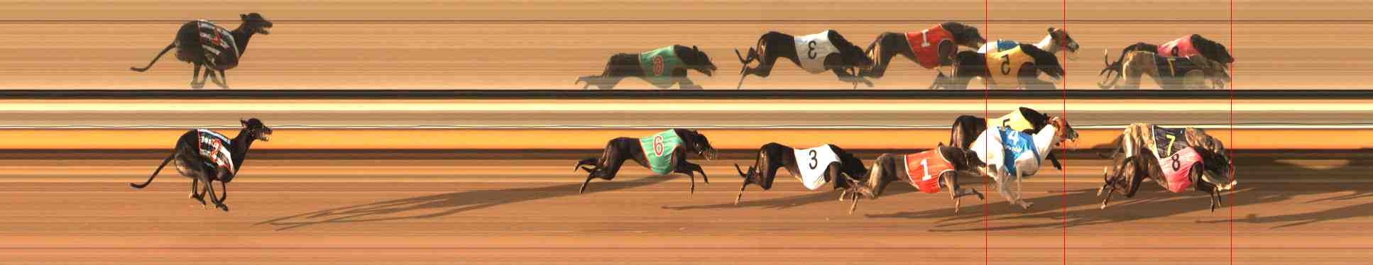 Photo finish for Warrnambool Race 9