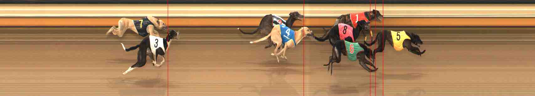 Photo finish for Warrnambool Race 10