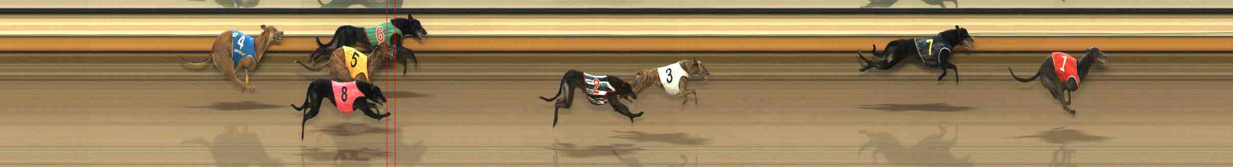 Photo finish for Warrnambool Race 11
