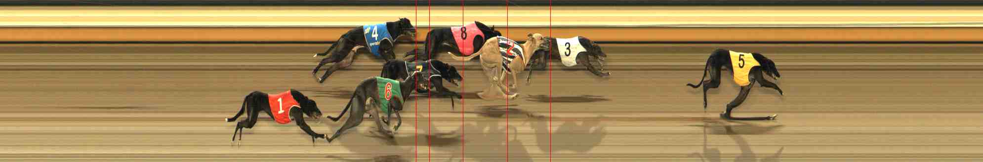 Photo finish for Warrnambool Race 12
