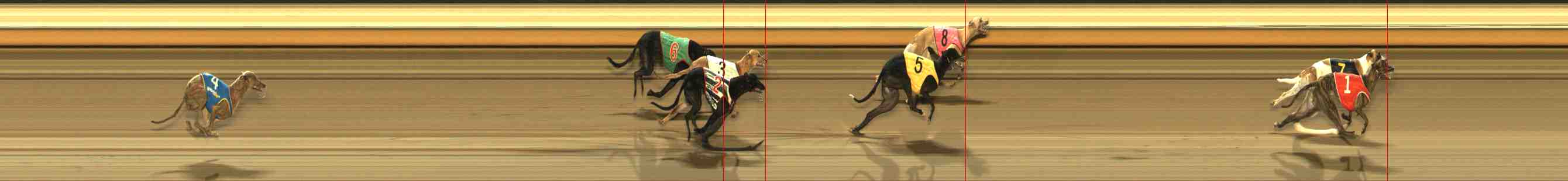 Photo finish for Warrnambool Race 13