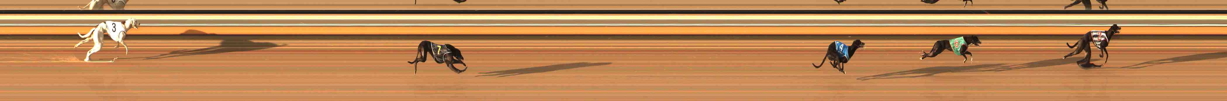 Photo finish for Warrnambool Race 2