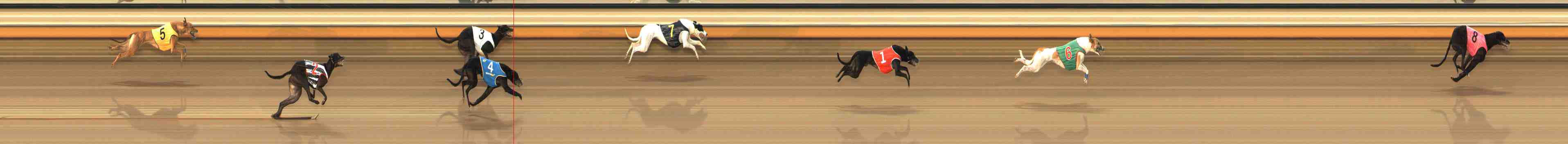 Photo finish for Warrnambool Race 3