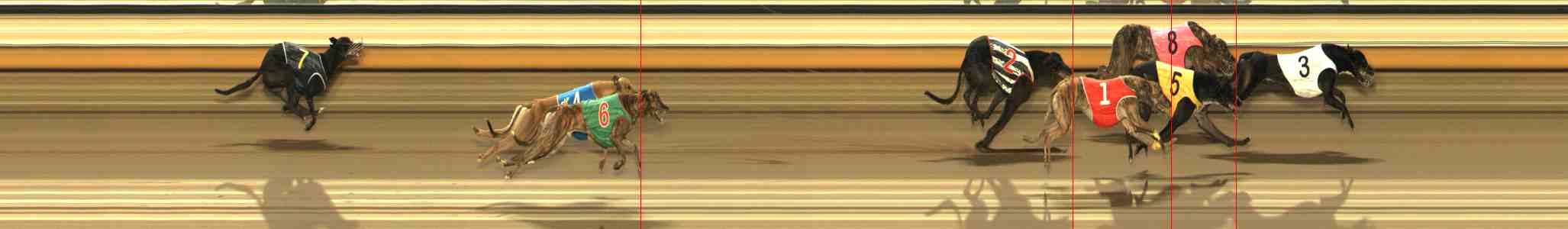 Photo finish for Warrnambool Race 5