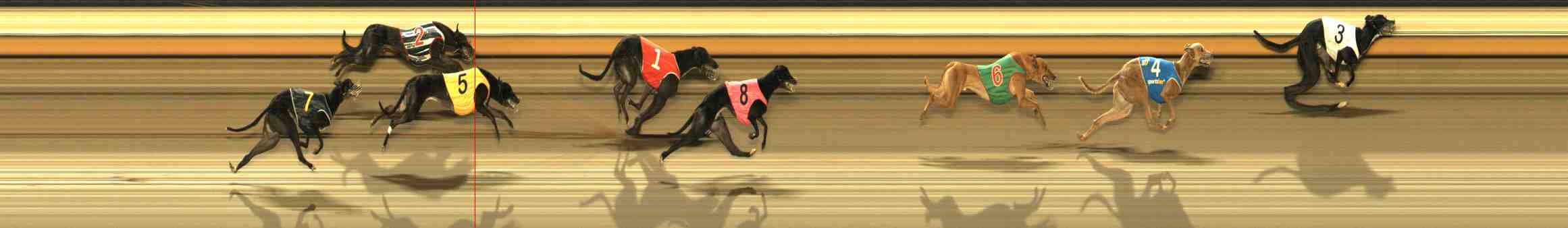 Photo finish for Warrnambool Race 6