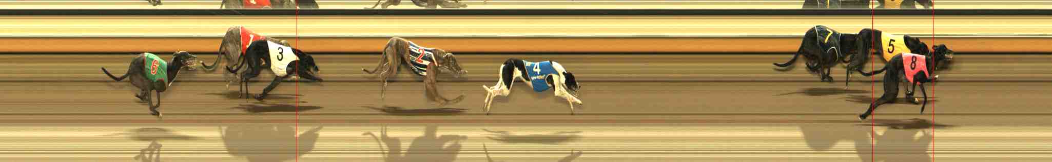 Photo finish for Warrnambool Race 7