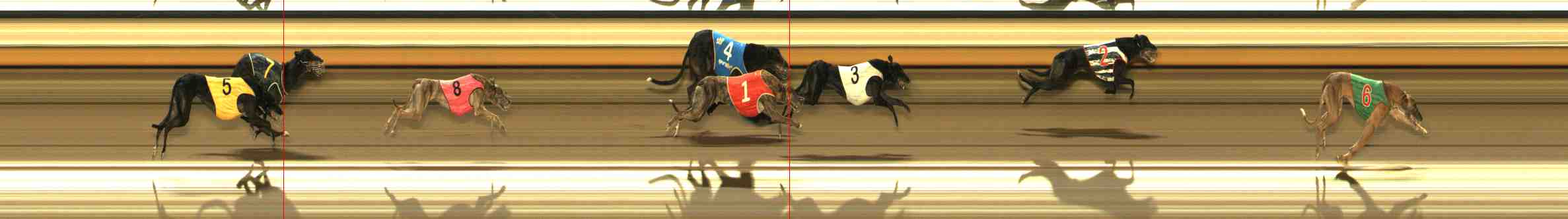 Photo finish for Warrnambool Race 8
