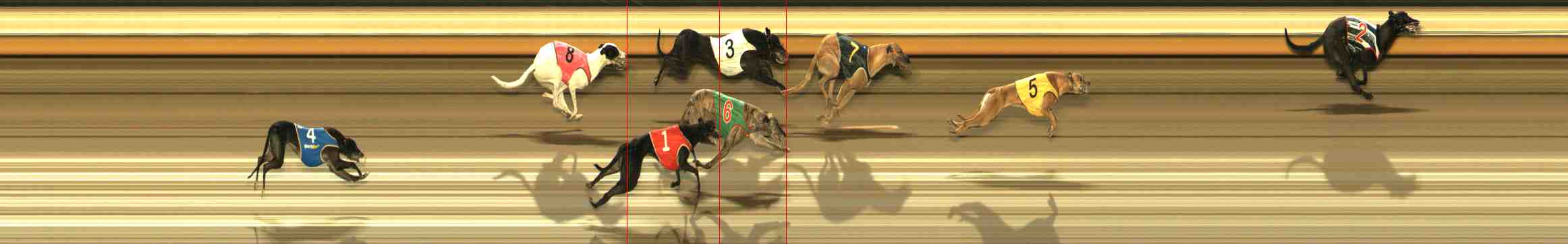 Photo finish for Warrnambool Race 9
