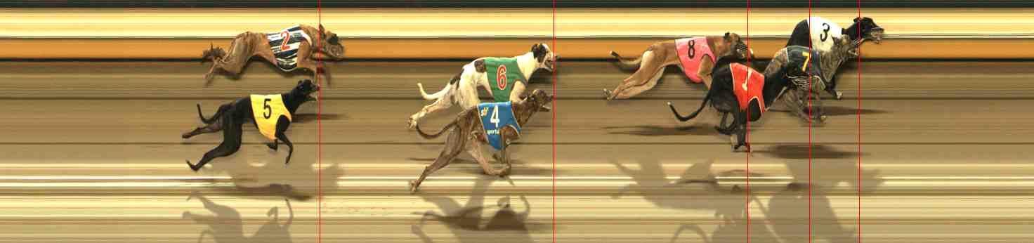 Photo finish for Warrnambool Race 10