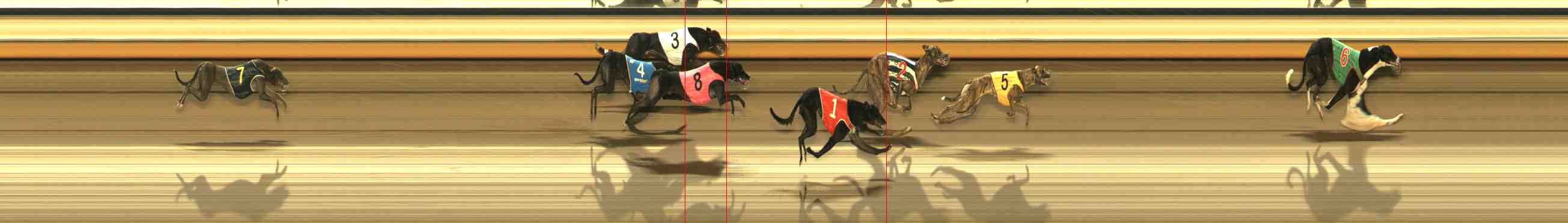 Photo finish for Warrnambool Race 11
