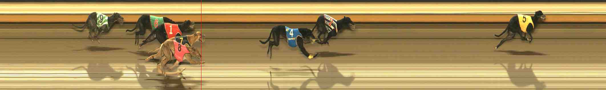 Photo finish for Warrnambool Race 12