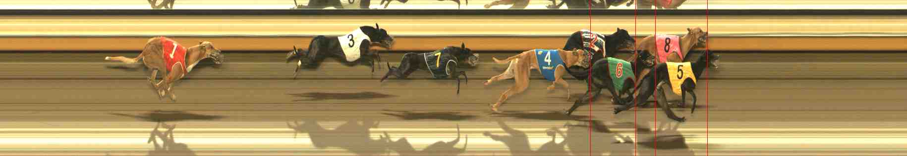 Photo finish for Warrnambool Race 13