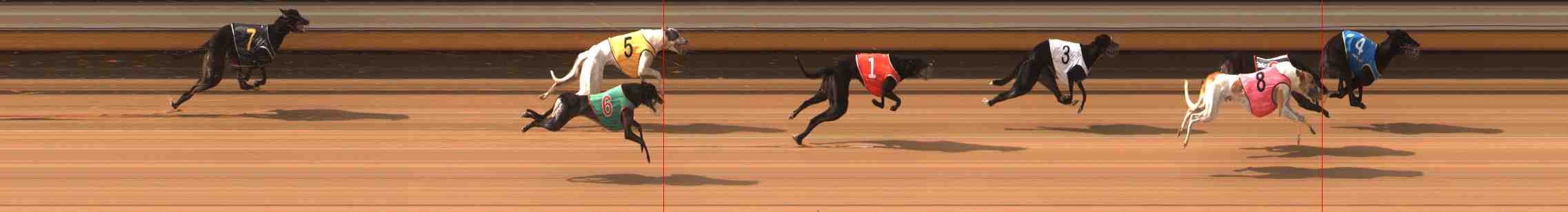 Photo finish for Warrnambool Race 3