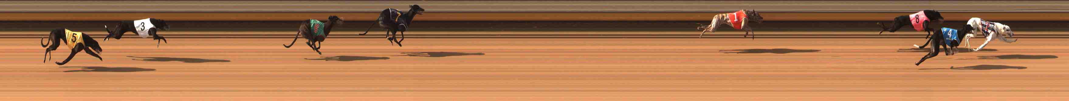 Photo finish for Warrnambool Race 5