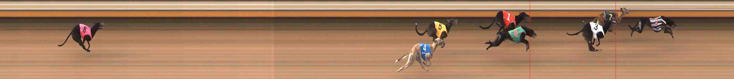 Photo finish for Warrnambool Race 6