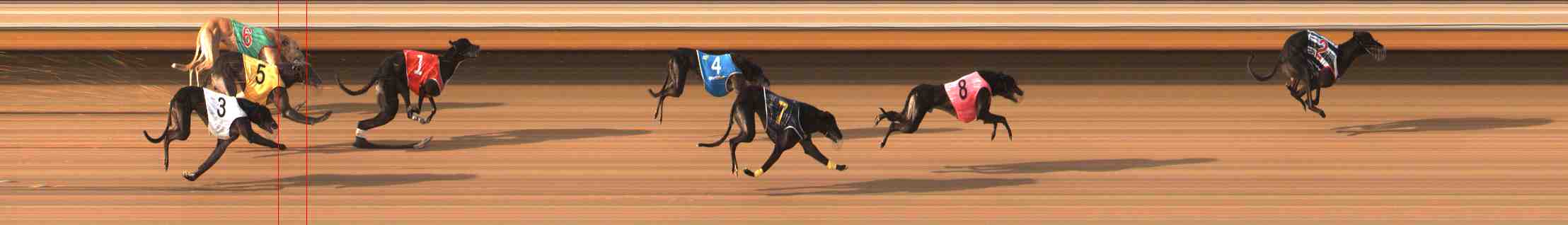 Photo finish for Warrnambool Race 7