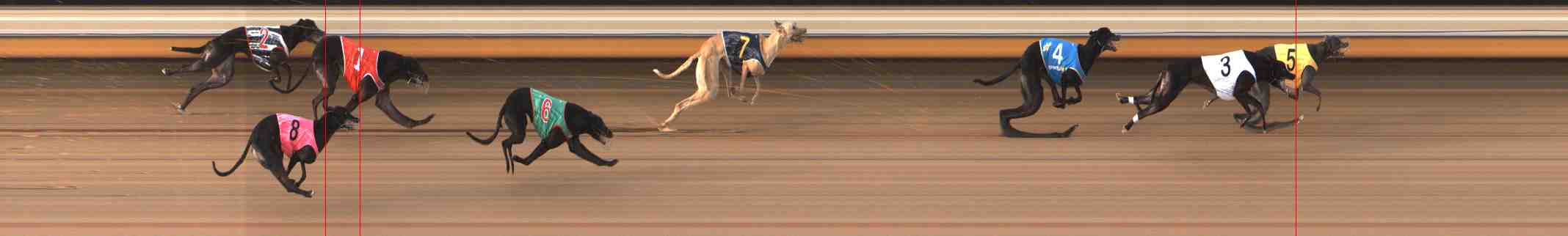 Photo finish for Warrnambool Race 8