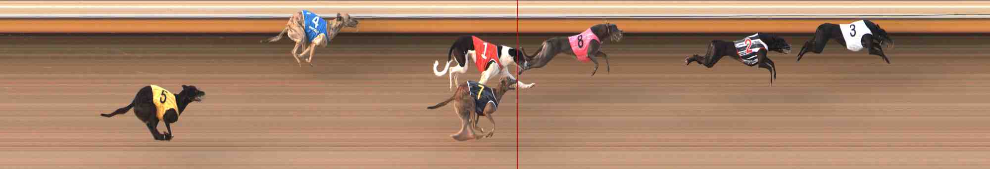 Photo finish for Warrnambool Race 9