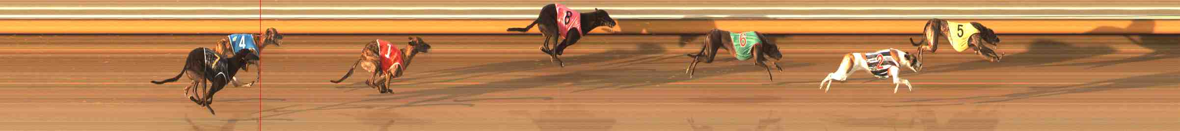 Photo finish for Warrnambool Race 10