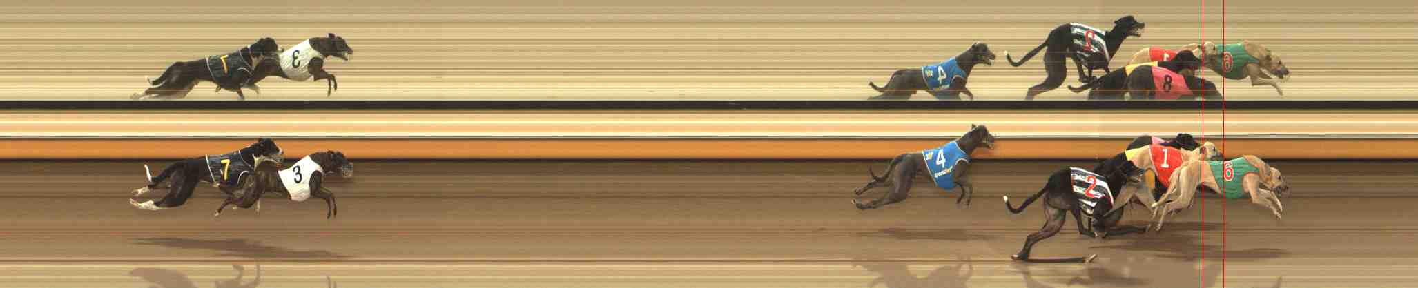 Photo finish for Warrnambool Race 11