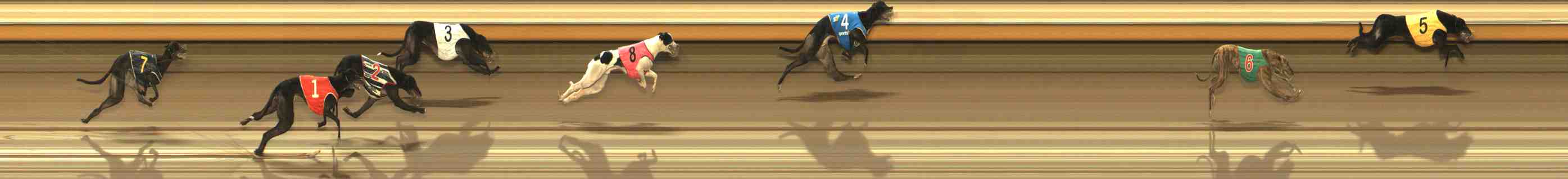Photo finish for Warrnambool Race 12