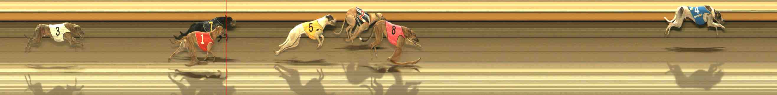 Photo finish for Warrnambool Race 13
