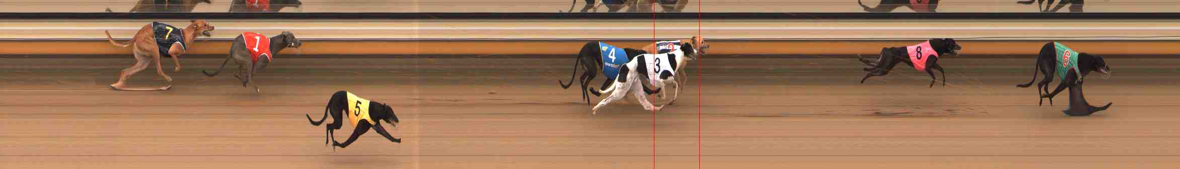 Photo finish for Warrnambool Race 2