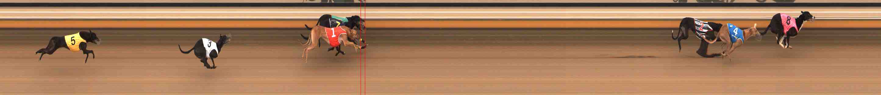 Photo finish for Warrnambool Race 3