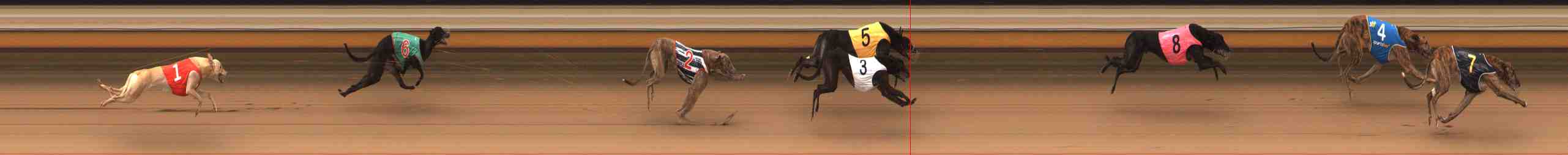 Photo finish for Warrnambool Race 4