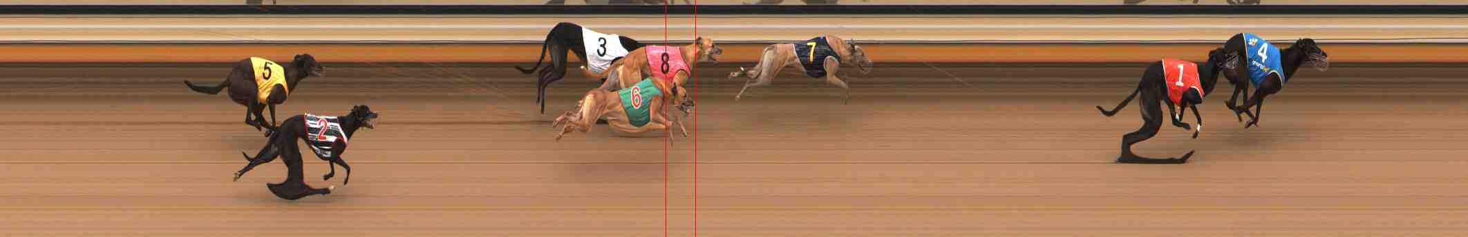 Photo finish for Warrnambool Race 5