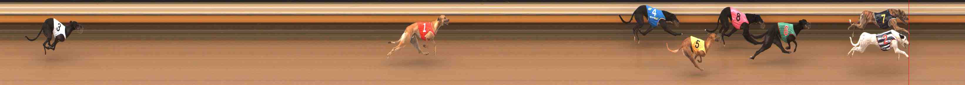 Photo finish for Warrnambool Race 6