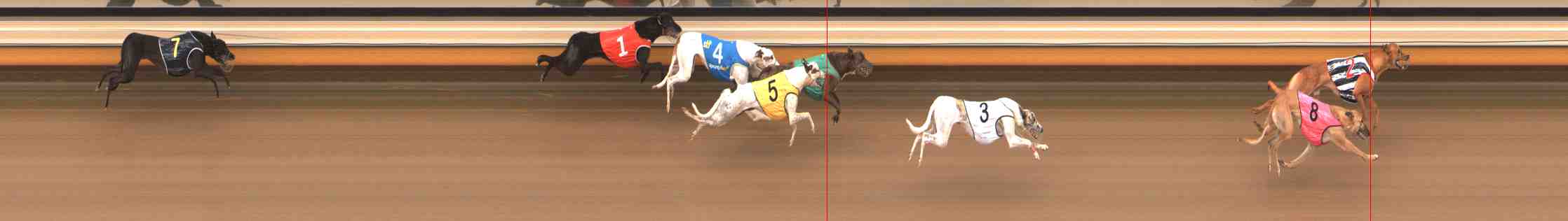Photo finish for Warrnambool Race 7