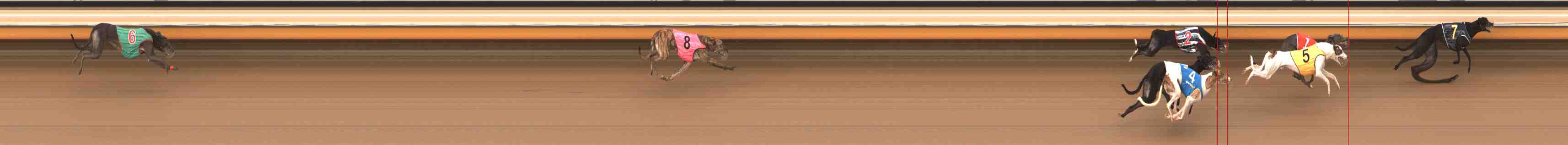 Photo finish for Warrnambool Race 8