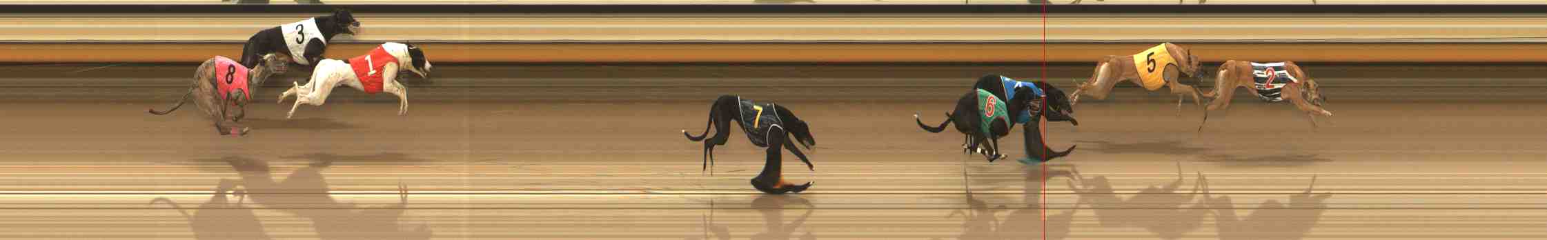 Photo finish for Warrnambool Race 9