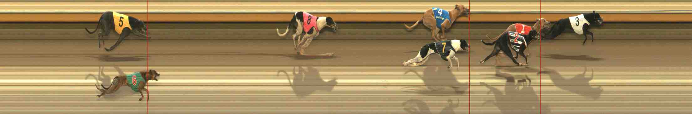 Photo finish for Warrnambool Race 10