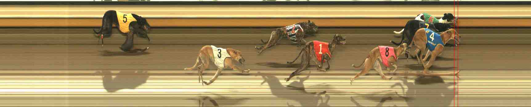 Photo finish for Warrnambool Race 11