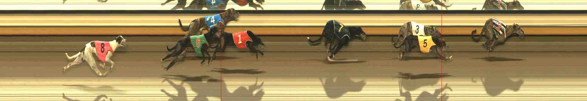 Photo finish for Warrnambool Race 12