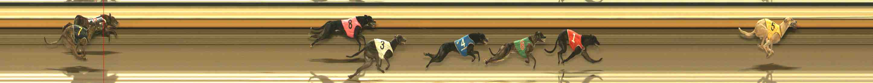 Photo finish for Warrnambool Race 13