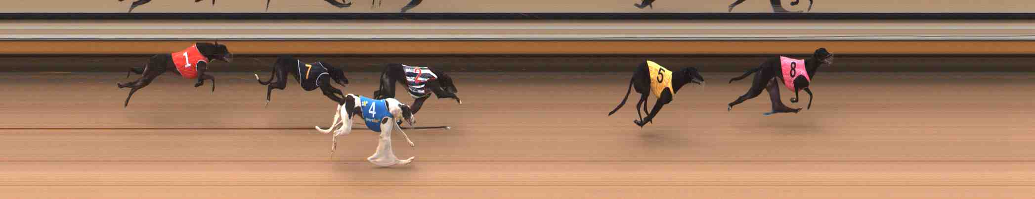 Race result finish photo