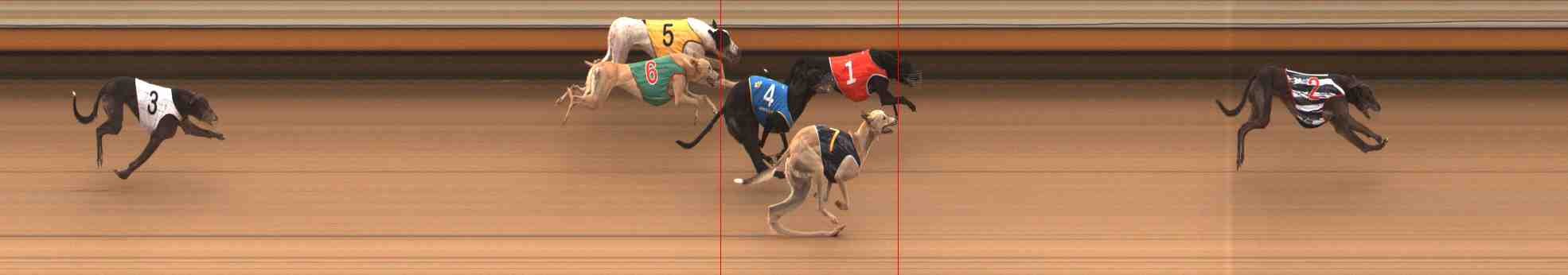 Photo finish for Warrnambool Race 2