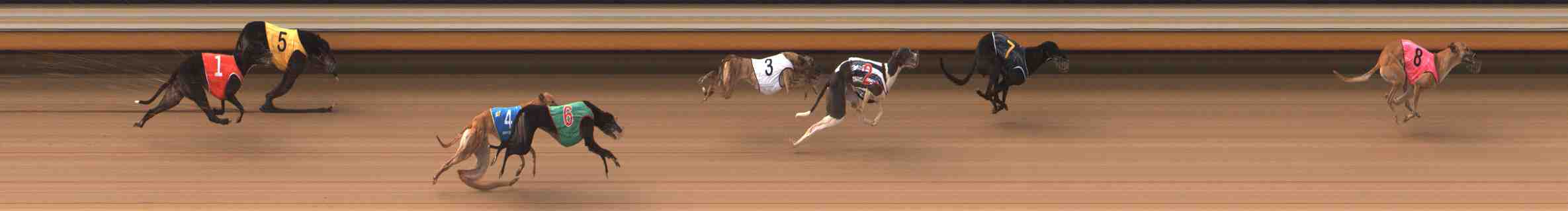 Photo finish for Warrnambool Race 3