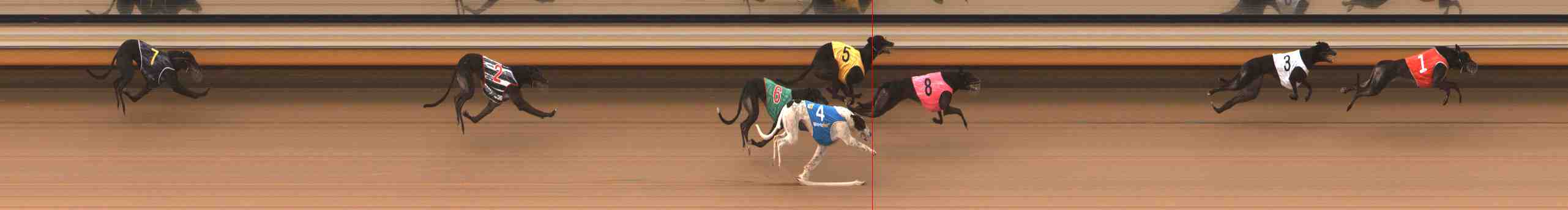 Photo finish for Warrnambool Race 4