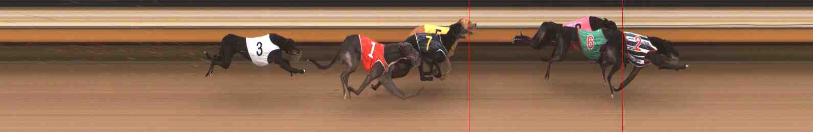 Photo finish for Warrnambool Race 5