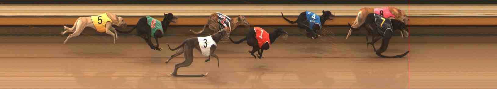 Photo finish for Warrnambool Race 7