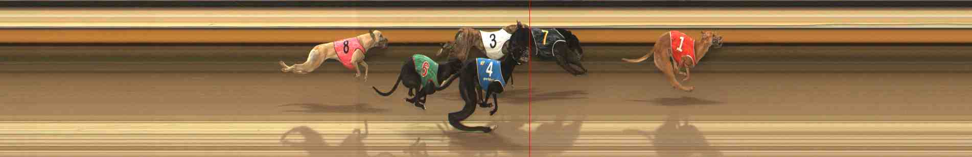 Photo finish for Warrnambool Race 9