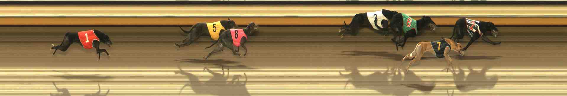 Photo finish for Warrnambool Race 11