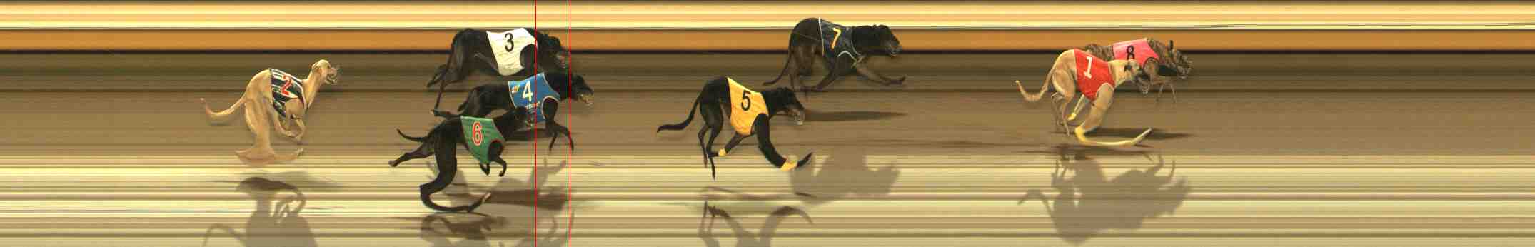 Photo finish for Warrnambool Race 12