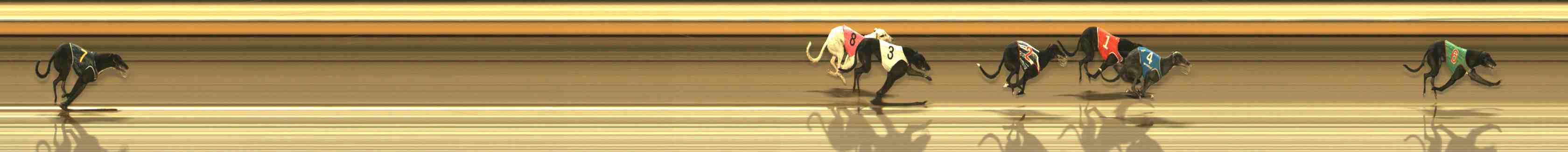 Photo finish for Warrnambool Race 13