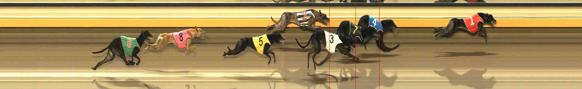 Race result finish photo