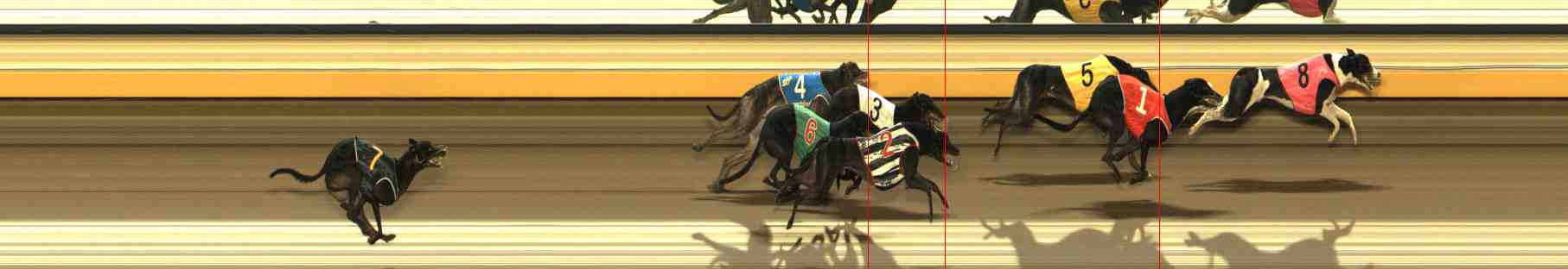 Race result finish photo